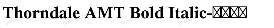 Thorndale AMT Bold Italic字体转换